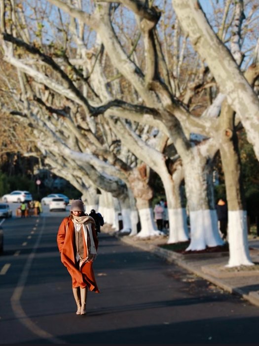 b1ac478b313c9d8161e1634d4938cb41_1725393677_2993.jpg b1ac478b313c9d8161e1634d4938cb41_1725393677_2993.jpg