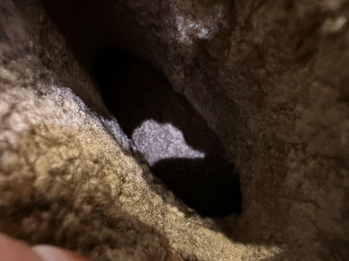 8741e471314f2a75454a28329889e1e6_1764544544_1097.jpg 8741e471314f2a75454a28329889e1e6_1764544544_1097.jpg