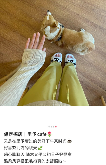 da9f1fe93b158d0aa42419fda7d210fb_1764545167_5982.jpg da9f1fe93b158d0aa42419fda7d210fb_1764545167_5982.jpg